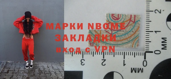 мдпв Ельня