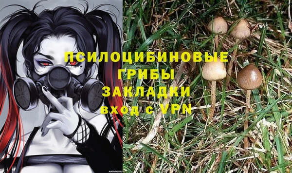 альфа пвп Дмитровск