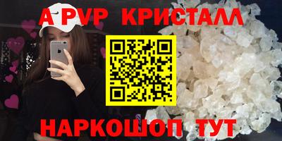 ECSTASY Кингисепп