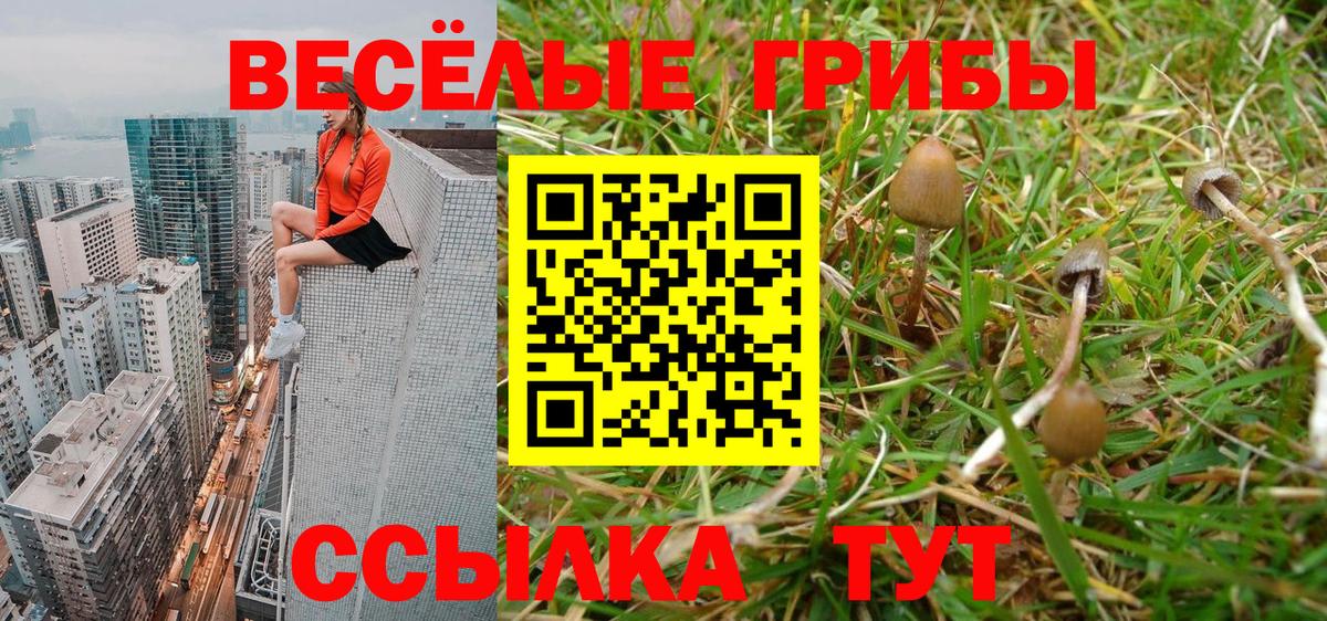 Пыть-Ях  Галлюциногенные грибы GOLDEN TEACHER  Вход с VPN 