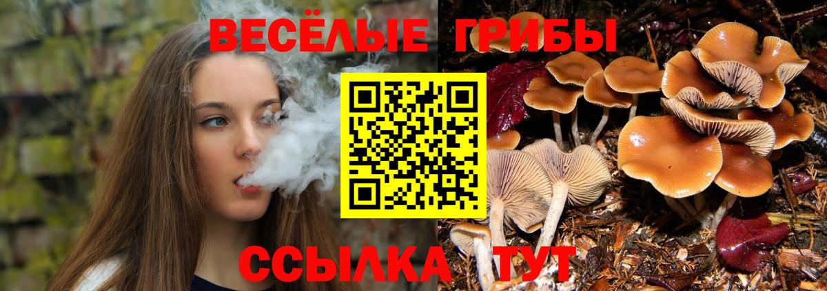 Галлюциногенные грибы мухоморы Пыть-Ях